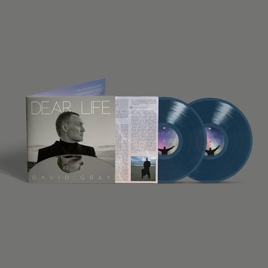 Dear Life Sea Blue Vinyl