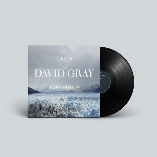 Life in Slow Motion - Black Vinyl